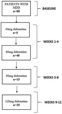 Baseline depressive symptoms as predictors of efficacy and tolerability of the treatment with duloxetine: a network analysis approach